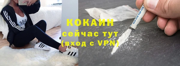 шишки Михайловск