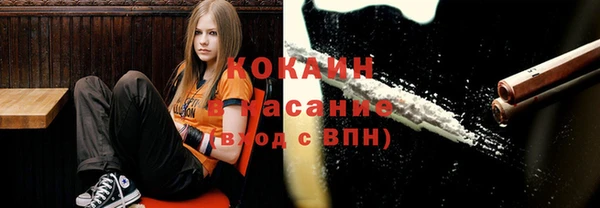 шишки Михайловск