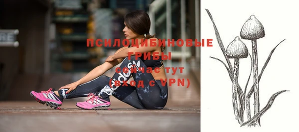 шишки Михайловск