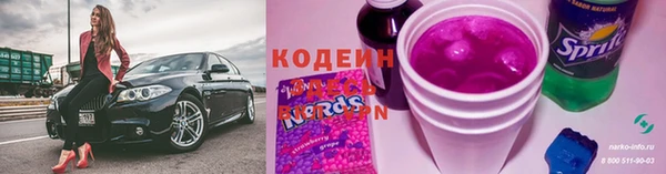 шишки Михайловск