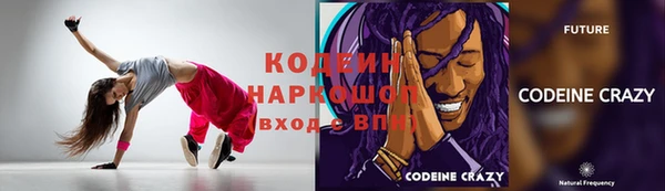 шишки Михайловск