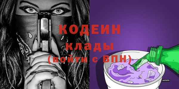 шишки Михайловск