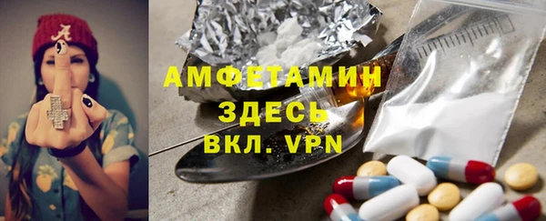 шишки Михайловск