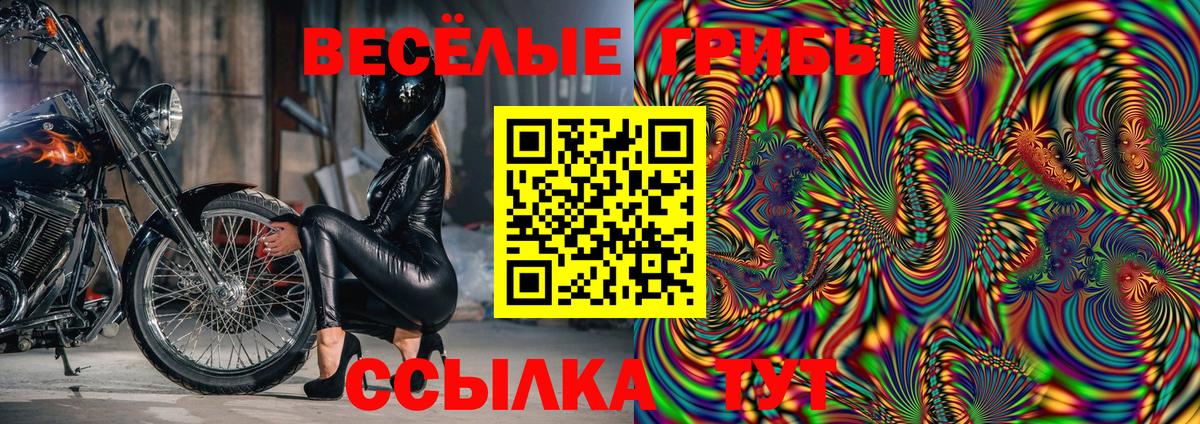 Псилоцибиновые грибы Psilocybe Волжский