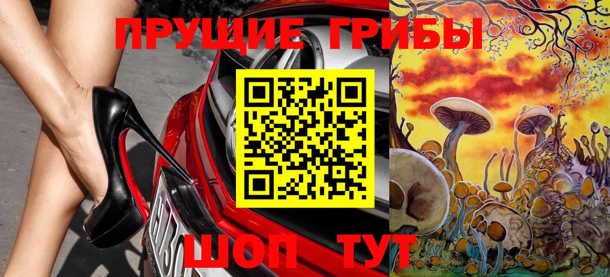 Волжский  наркота  Вход с VPN  Галлюциногенные грибы Psilocybine cubensis 